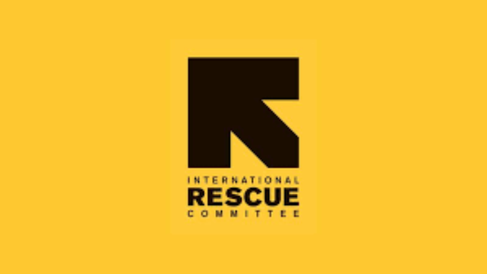 The International Rescue Committee On Hiring INEE Director Position