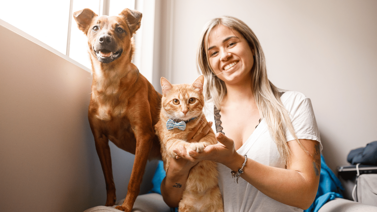 How to Find International Pet Sitting Jobs